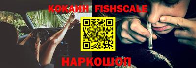 скорость Новозыбков