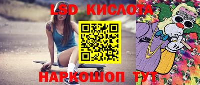 соль ск Новодвинск