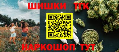 соль ск Новодвинск