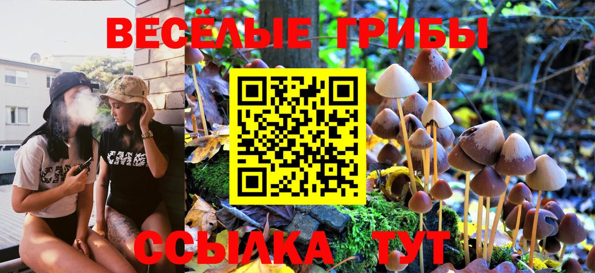 Туапсе  Галлюциногенные грибы MAGIC MUSHROOMS  Галлюциногенные грибы мухоморы  Вход с VPN 